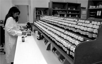 Homeopat&iacute;a y Dengue